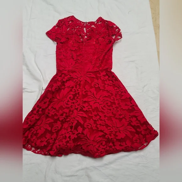Ted Braker Elegant Red Lace Dress, size 2 - Picture 10 of 16